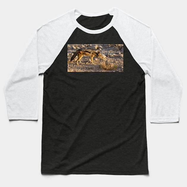 Black backed Jackal. Baseball T-Shirt by sma1050